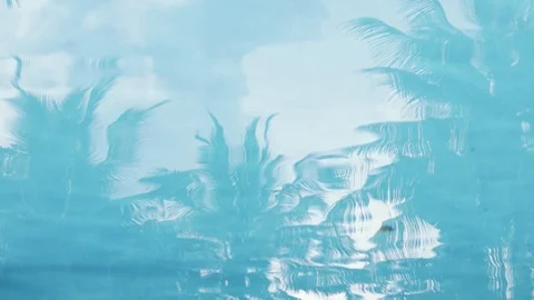 Abstract background video. Reflection of the palm trees at the swimming pool. Stock Footage 98431189