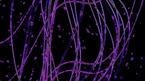 Abstract background violet curves on black Stockbeeldmateriaal 127124341