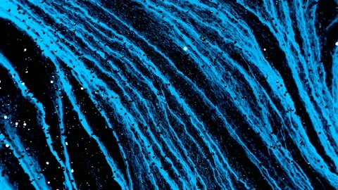 Abstract background of water ripple wave motion, colorful liquid paint. 4K Video stock 207897999