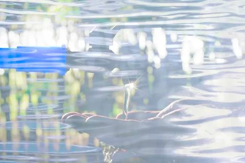 Abstract background of water saving concept on blue wave surface background,  Stock Photos