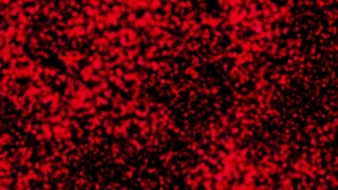 Abstract background Wave Particles Collection of colorful glowing dots. 4K Видео 287900619