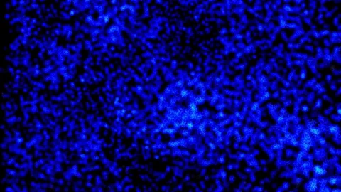 Abstract background Wave Particles Collection of colorful glowing dots. 4K Stock Footage 287900696