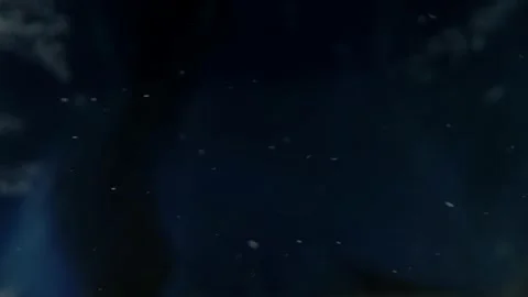 Abstract background. white shiny particles float in water on black background Stock Footage 151217197