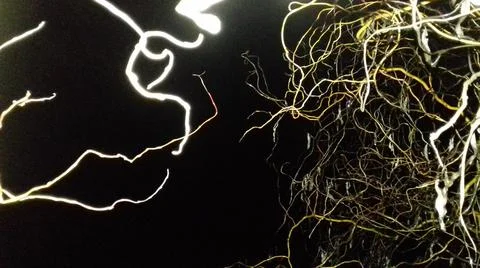 Abstract background with windind willow branches Stock Photos