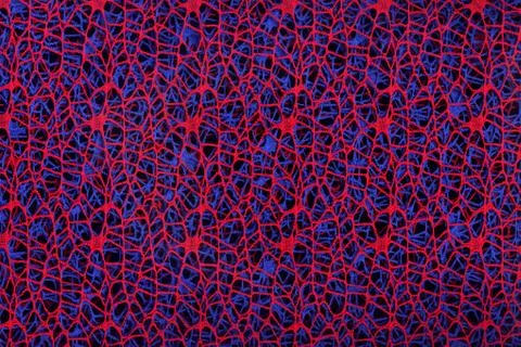 Abstract background of woven red and blue threads on a black background. Foto stock