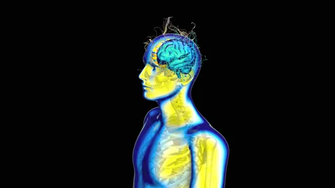 Abstract background of Xray Man walking with left and right Brain Stock Footage 154304644