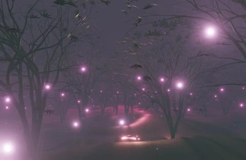 Abstract background.Dark  forest background at night. Fog, moonlight. Stock Photos