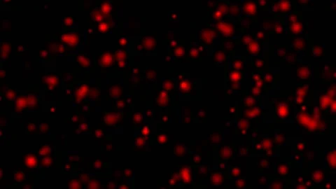 Abstract backgrounds colorful light dot particle c Stock Footage 133122416