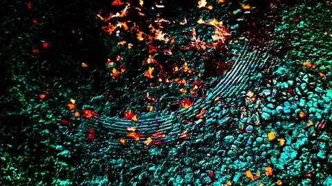 Abstract backgrounds Stock Footage 258525436