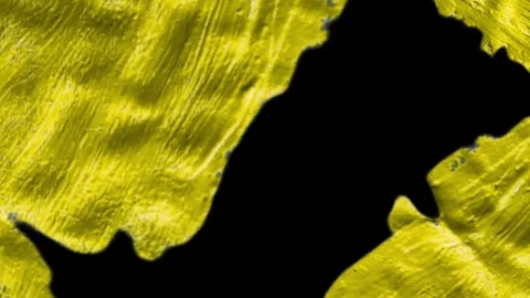 Abstract backgrounds Stock Footage 258528644