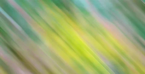 Abstract Backgrounds. Graphic pattern for fabric, wallpaper, packaging. Stock Illustration