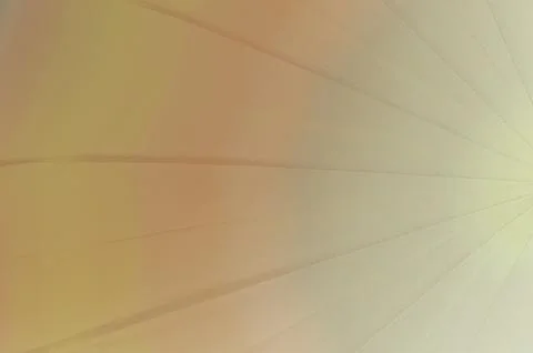 Abstract backgrounds textures with umbrella brown color Stock Photos