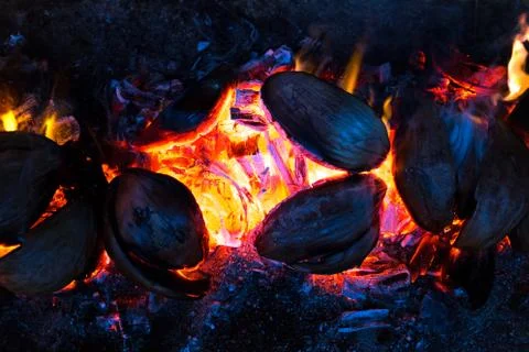 Abstract backgroung pattern of burning spathe of coconut bright bonfire. Stock Photos