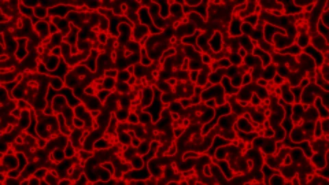 Abstract Bacteria Cell Division Video stock 231866415