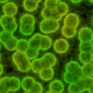 Abstract bacteria cells, seamless design イラスト素材