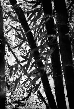 Abstract bamboo forest Stock Illustration