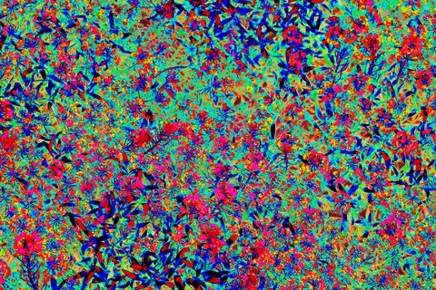 Abstract based on a photo of grass with small leaves, autumn grass, bright co Stock Illustration