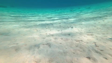 Abstract beach vacation sunrays Stock Footage 317189271