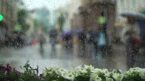 Abstract Beautiful background with view through the window with white flowers in Stock Footage