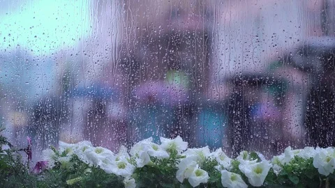 Abstract Beautiful background with view through the window with Wet street Stock Footage 78732390
