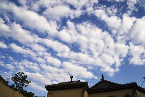 Abstract beautiful cloud in blue sky for blackground Stock Photos
