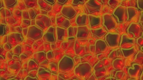 Abstract Beautiful Gradient Background Animation. Stock Footage 296524183