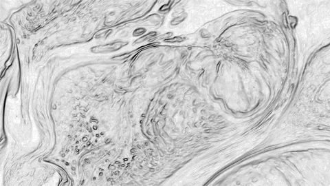 Abstract Beautiful Silver Art Marbled Unique Handmade Surface Texture 9 Stock Footage 314585700