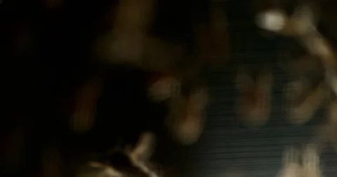 Abstract Bees Background Stock Footage 77782845