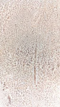Abstract beige textured background with subtle organic patterns 스톡 사진
