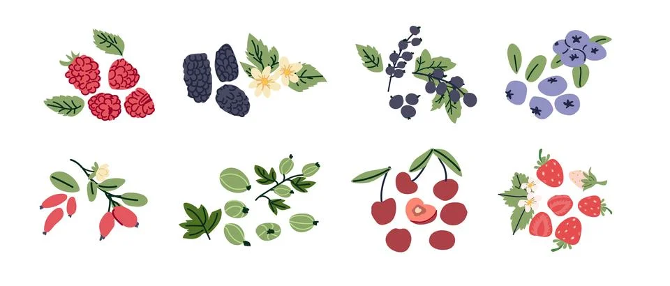 Abstract berries set. Forest and garden elements: raspberry, blackberry Stock Illustration