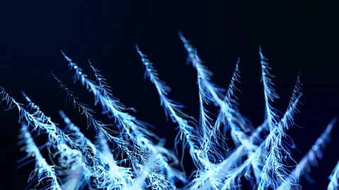 Abstract bg like winter frost pattern in 3d space. Particles form branches like Stock Footage 141657643