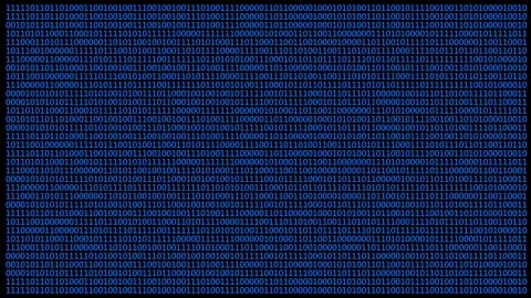 Abstract binary code background illustrating digital number patterns in blue 動画素材 310656306