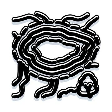 Abstract biological structure forming a concentric wavy pattern Illustration