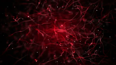 Abstract Biology Microscopic loop Stock Footage 60963587