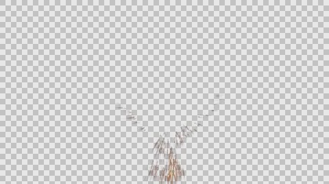 Abstract Bird Видео 56866098