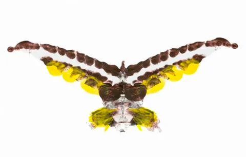 Abstract Bird Stock Illustration