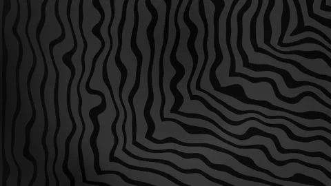 Abstract black and grey gradient background with flowing wavy line patterns Stock Footage 344919429