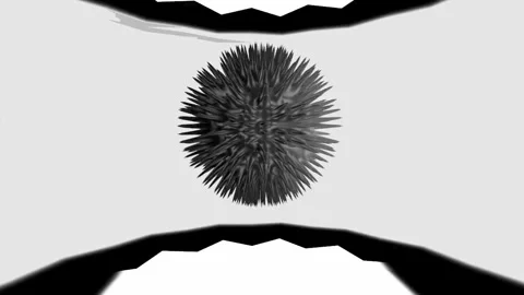 Abstract black and white animation Stock-Footage 249994652