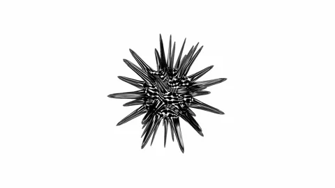 Abstract black and white animation Full-HD Stock Footage 254544890