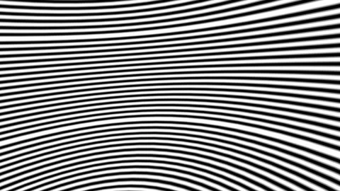 Abstract black and white animation Full-HD Stock Footage 254544979