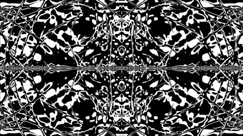 Abstract black and white background Stock Footage 277295