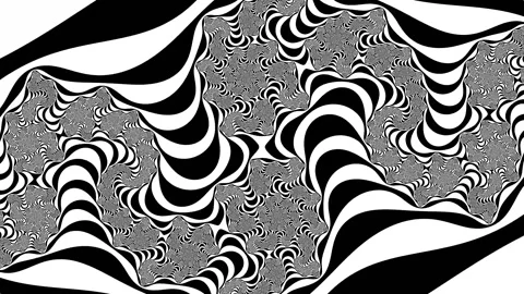 Abstract black and white background Fractal pattern Stock Footage 148738721