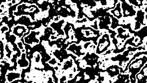 Abstract Black And White Background 1 Stock Footage 211841342