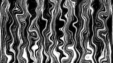 Abstract black and white background animation. Stock Footage 251438532