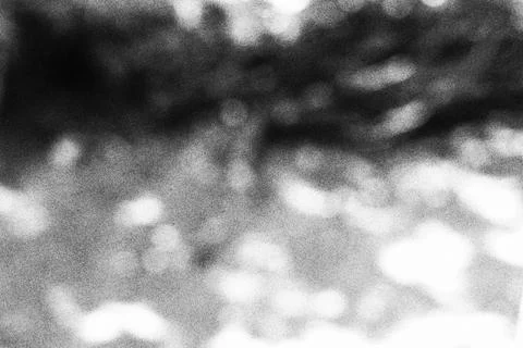 Abstract black and white blurred nature background with soft light bokeh Stock Illustration