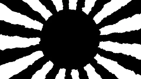 Abstract black and white circle opener with many rays around. Intro on black Stock Footage 295386842