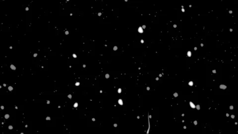 Abstract Black and White Cosmic Dots Falling from the Sky in Artful Motion Stock Footage 341926253