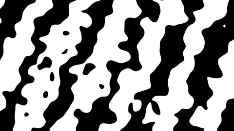 Abstract Black and White Fluid Forms with Psychedelic Motion: Animation Loop Stock Footage 300916463