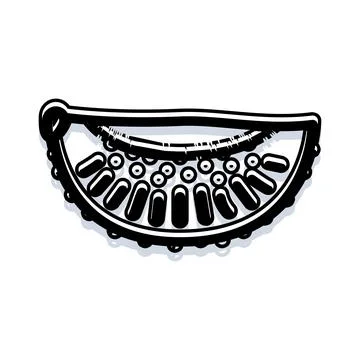 Abstract black and white fruit slice segment Stock Illustration