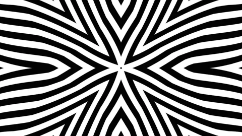 Abstract black and white geometric stripes forming symmetrical modern design. Stock Footage 319922233